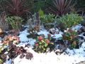 Flowerbeds covered with snow