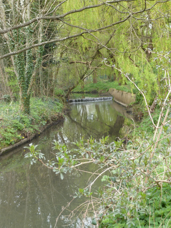tranquil scenery along Pymme's Brook