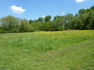 Open Space in the patch of North London