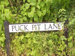 Puck Pit Lane