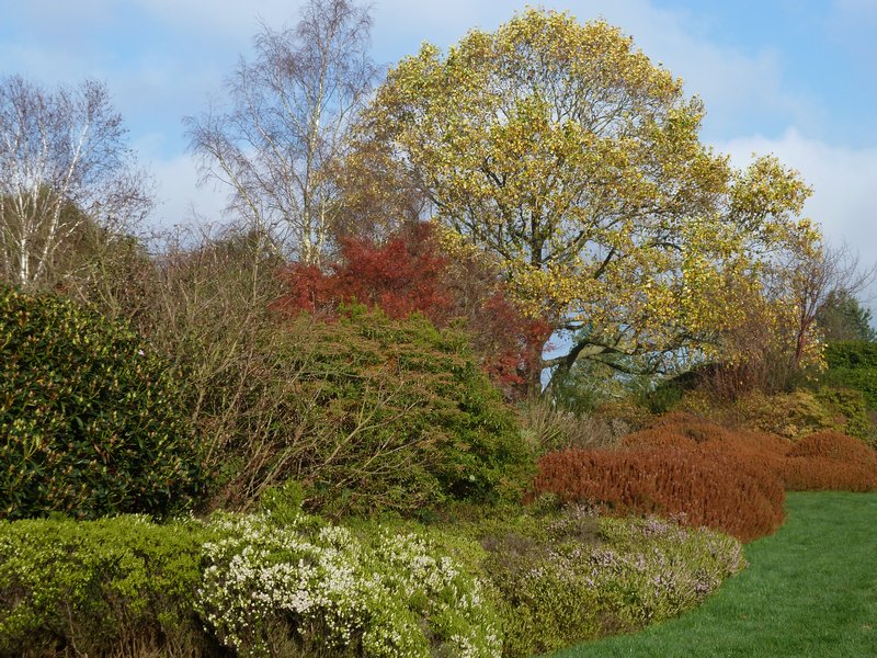 Heath Garden
