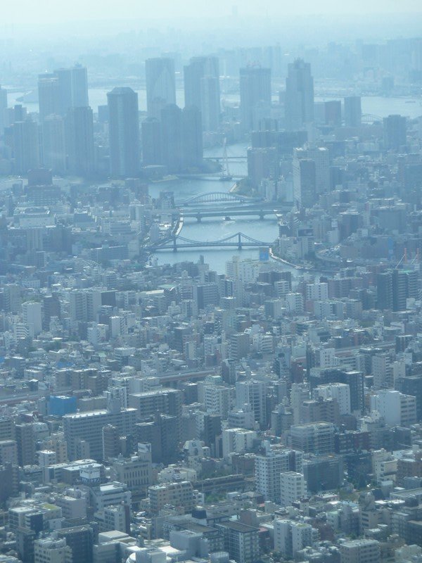 view from Skytree