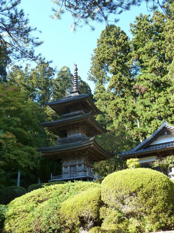 3 pagoda