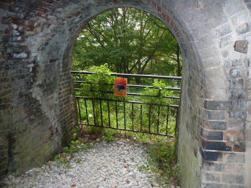 the side hole on the No.6 tunnel