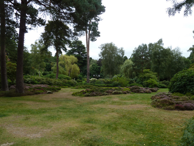 woodland park garden from the terrace