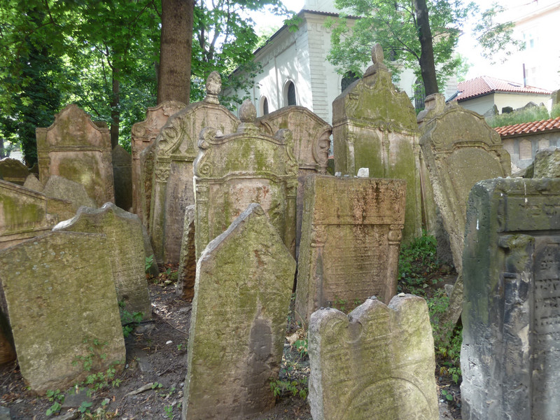 crowded gravestones