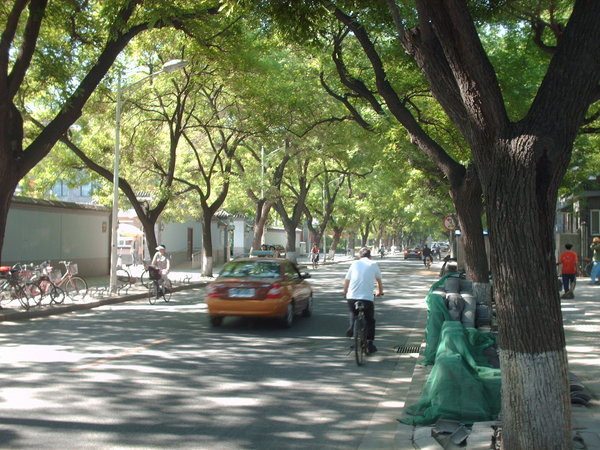 Beijing - quiet street near FC.