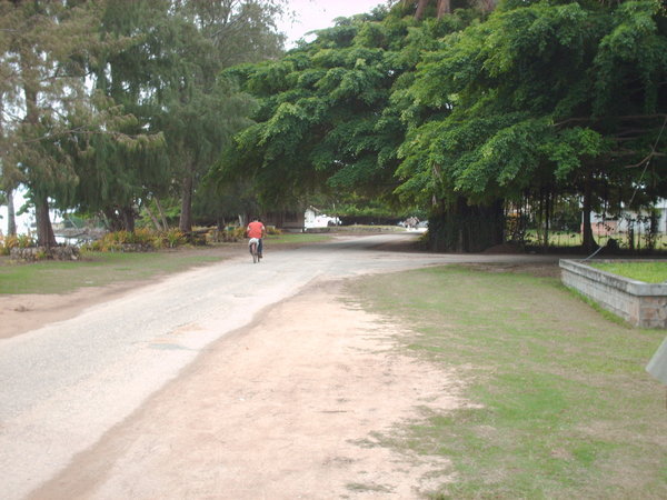 Tonga - Haapai - Busy Road