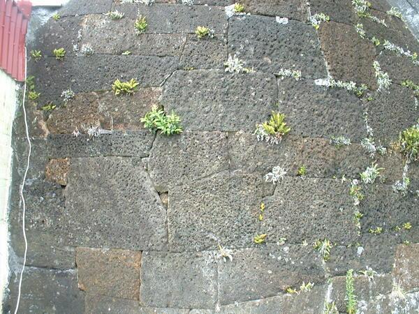 Closeup of the 200 year old wall