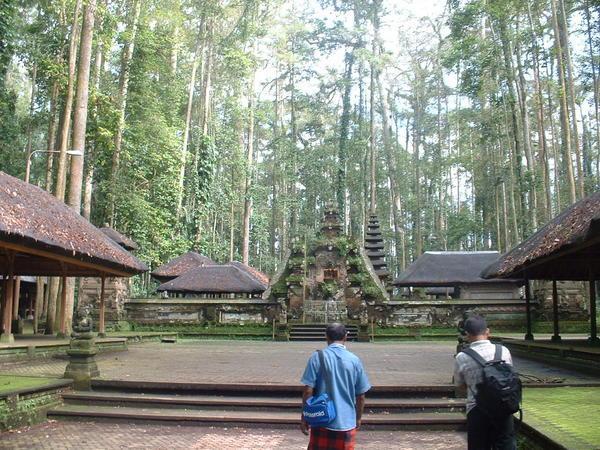 Holy Monkey Forest Sangeh