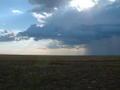 The Steppe.