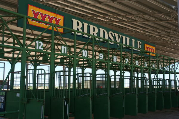 The Birdsville Race Track