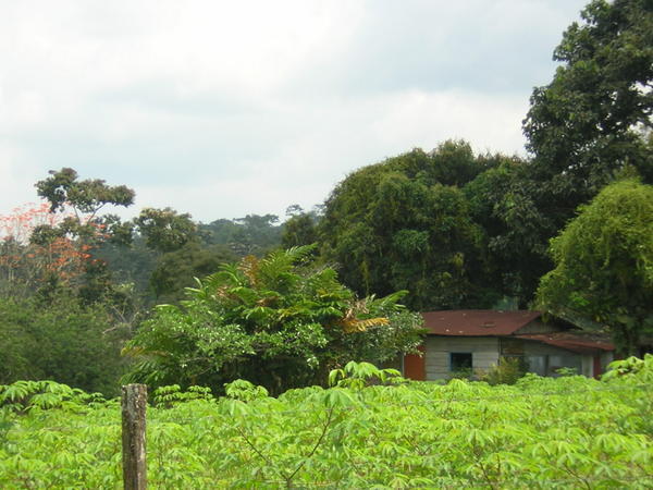 Rural Arenal