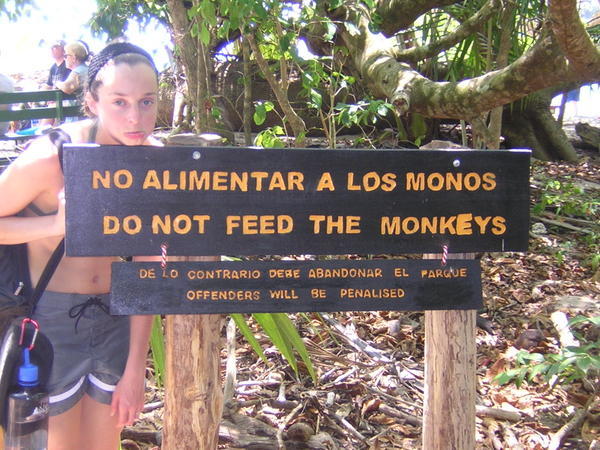 Hungry Monkeys