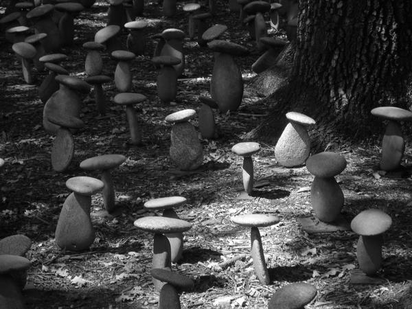 Chandon Mushroom Garden