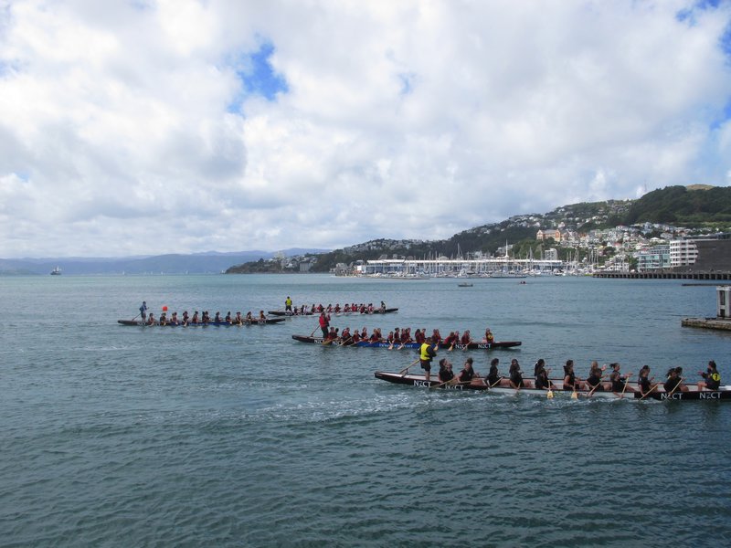 Wellington, dragon boat race