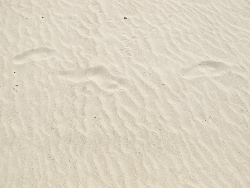 Isla Verde Sand