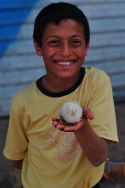 A boy and his chick