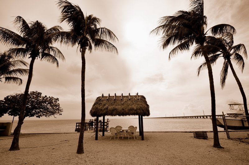 The Palms and  a Hut