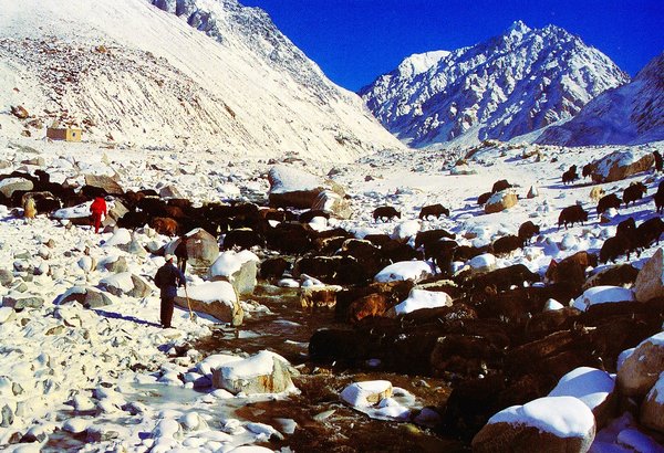 Pastures in the Pamir