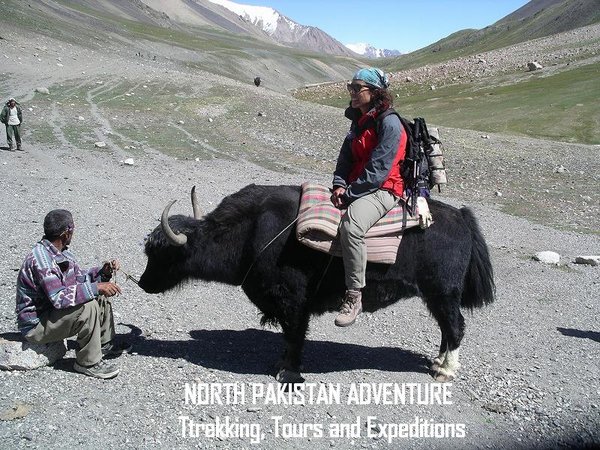 On the yak back in Pamirs