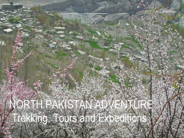 Altit village in Apricot blossom Hunza ( Northern Areas of Pakistan)