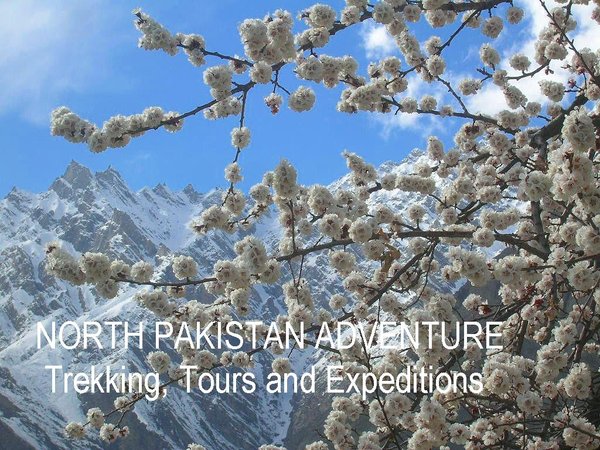 Blossom in Hunza Valley of Northern Areas