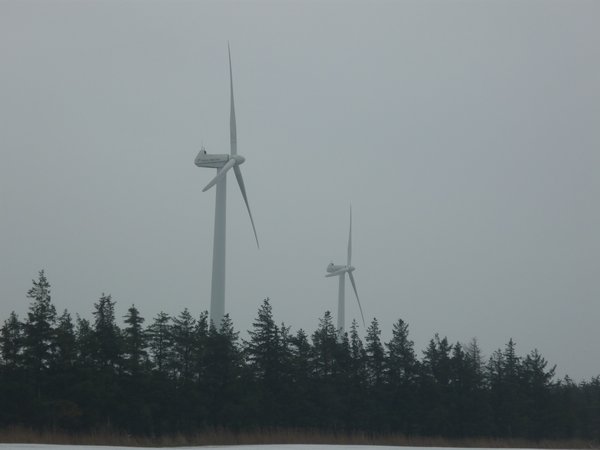 Windmills down the street
