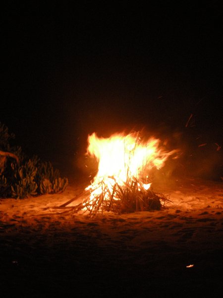 Bon fire in the beach