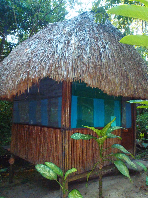 Our home in the jungle, Palenque