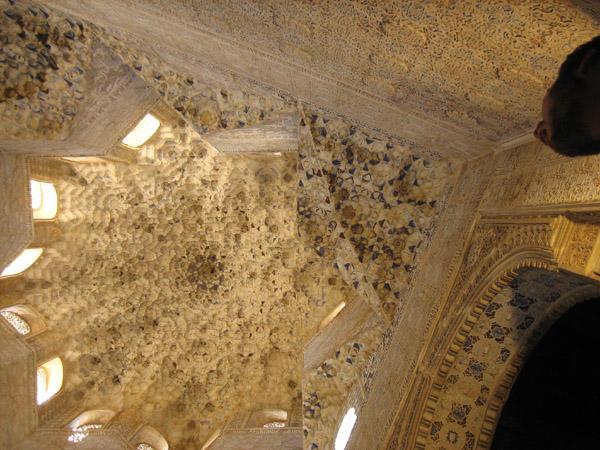 Alhambra's ceiling that Jarrad missed a lecture about.