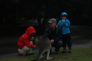 2010-08-10 Australia Zoo 014