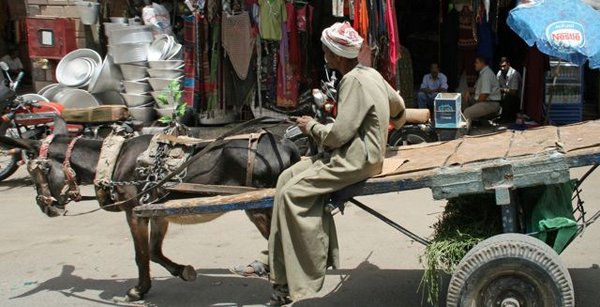 Aswan Market