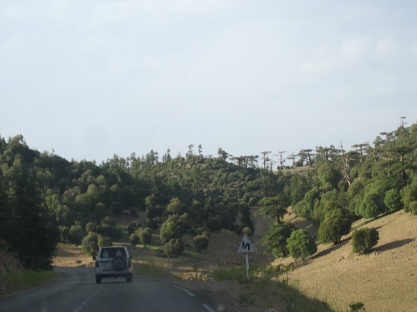Road to Azrou