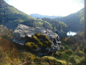 Bergen Backcountry Run/Hike 1