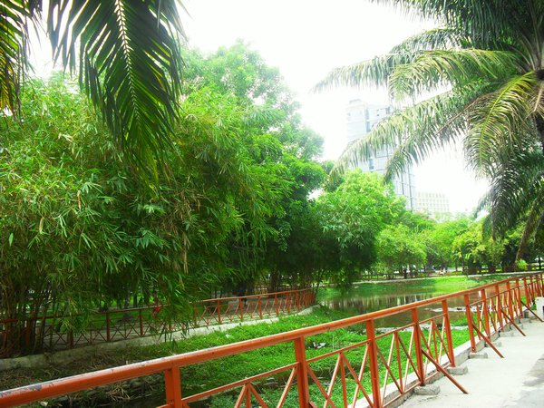 leafy park in HCMC