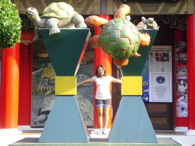 Holding the Turtle pillars