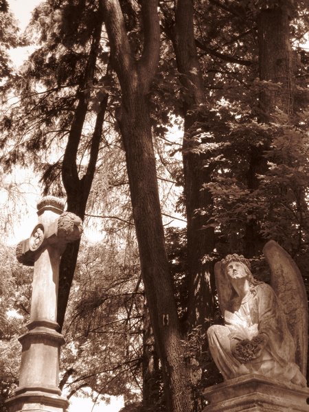 Lychakivske Cemetery, Lviv