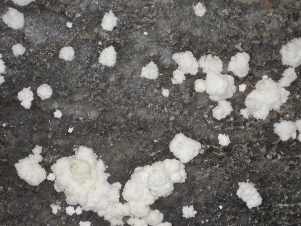 Cauliflower salt, Wieliczka Salt Mine