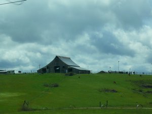 Barn in big green field