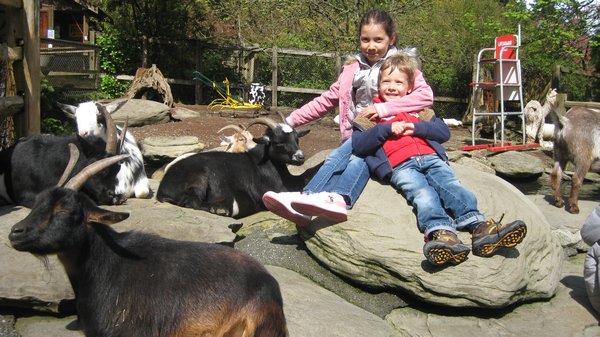 G & K with mtn goats