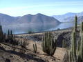 On the way to Valle del Elqui