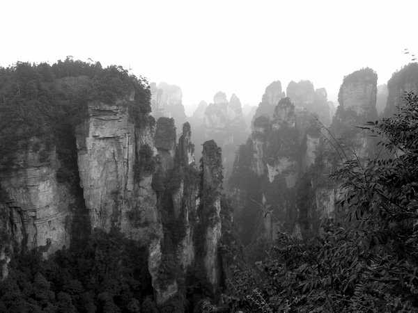 The stone forest of Zhangjia jie