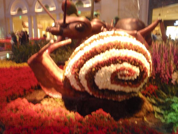 Snail made of roses