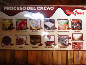 Cacao process