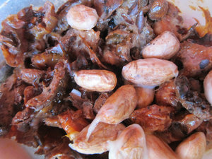 fermented Cacao seeds
