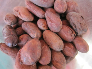 Roasted Cacao seeds