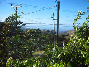 View of Monte Verde