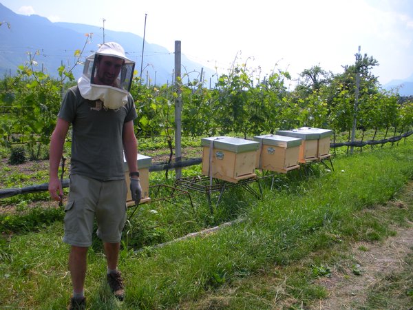beekeeper Paul