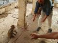 Brad feeding Monkey a peanut